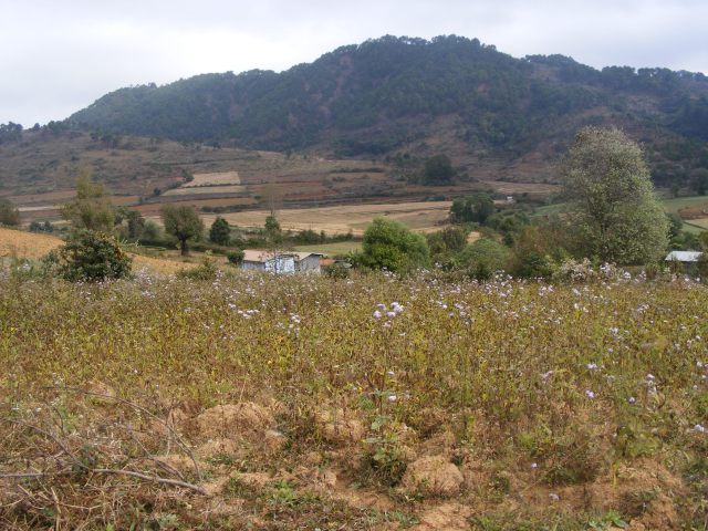 Biodiversité Birmanie